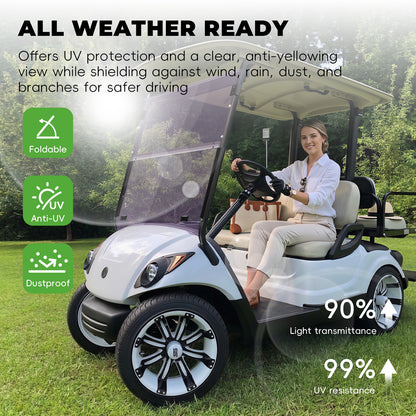 YAMAHA DRIVE/G29 Windshield (tinted/PMMA)